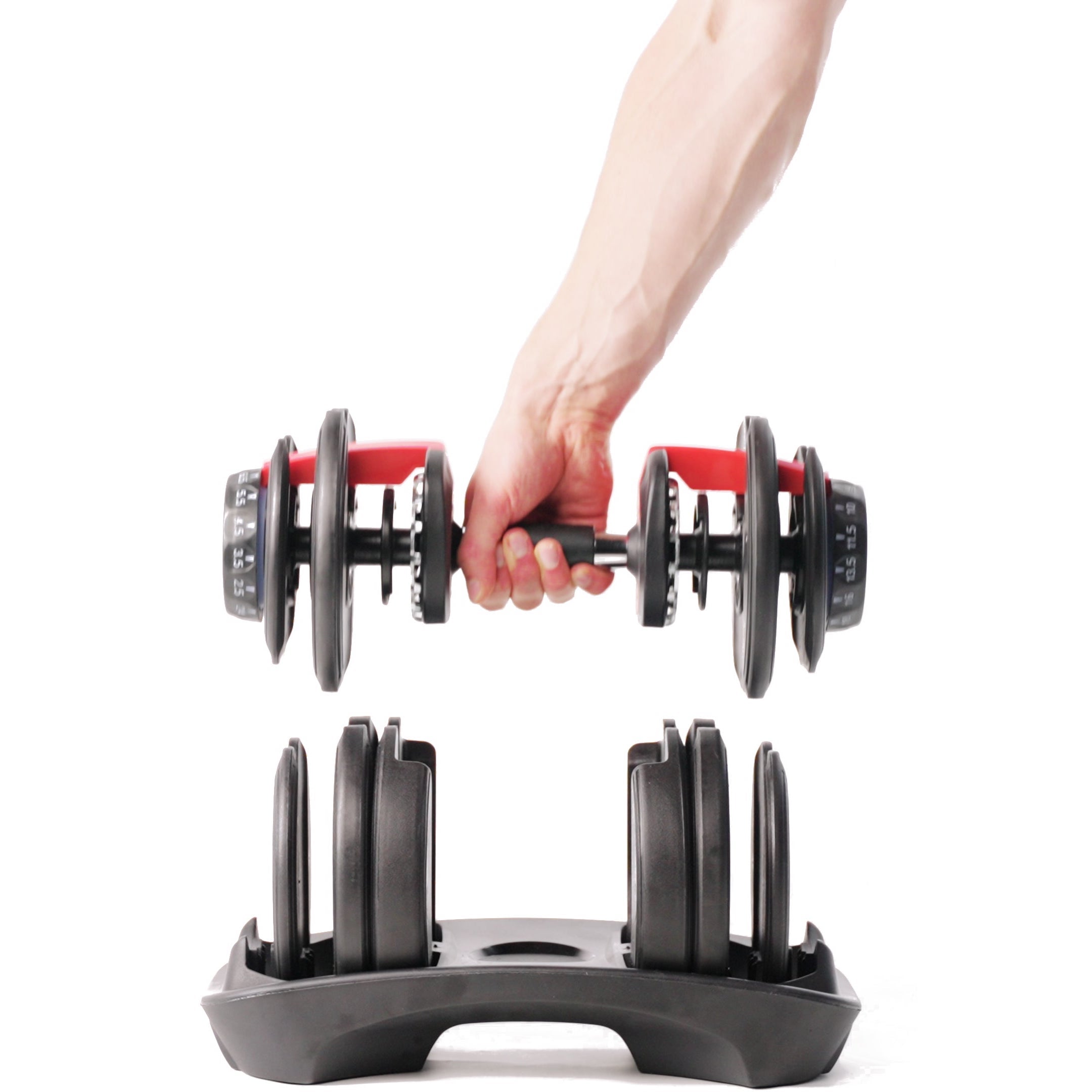 Dumbbell best sale set up